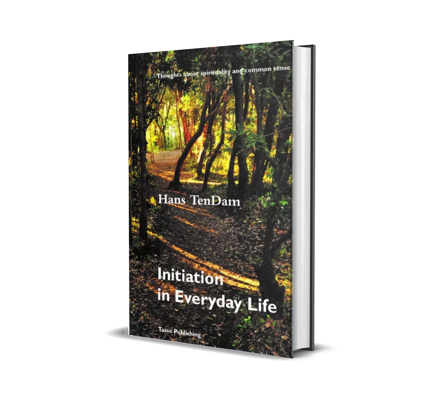 Initiation in Everyday Life by Hans TenDam